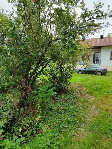 تصویر 12 - ویلا صنوبر در ماسال