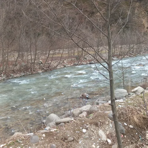 تصویر 22 - ویلا  اقاقیا کنار رودخانه  در  اسالم