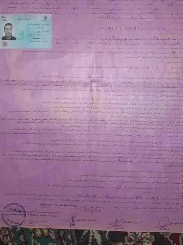 تصویر 3 - خانه فیلبند چلاو جنگل سنگچال در آمل