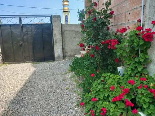 تصویر 3 - ویلا مبین  در  ساری