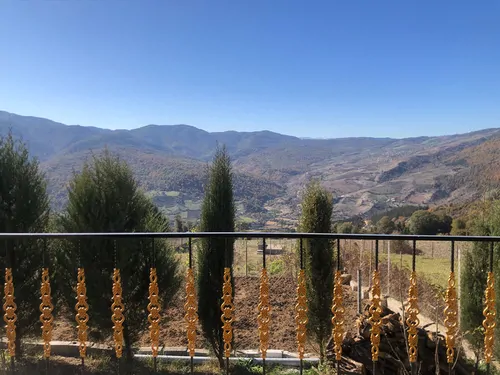 تصویر 15 - سوییت جنگلی دیاکو در  ساری