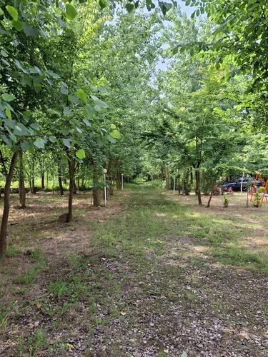 تصویر 3 - سوییت واحد فلت مروارید باغ پیچک در رشت