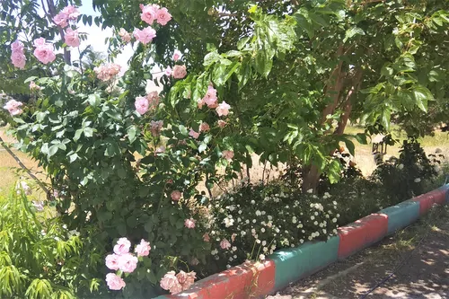 تصویر 4 - پانسیون کمالوند (واحد4) در خرم آباد