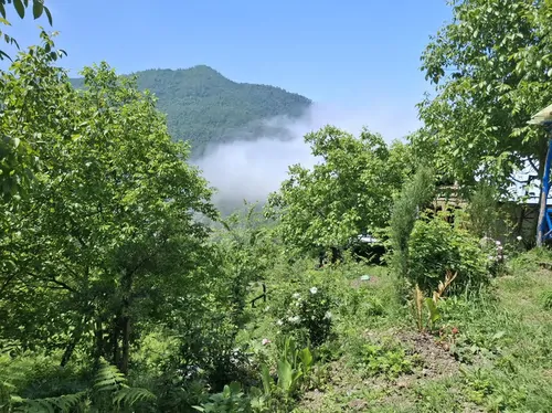 تصویر 15 - کلبه جنگلی دنج در چمستان