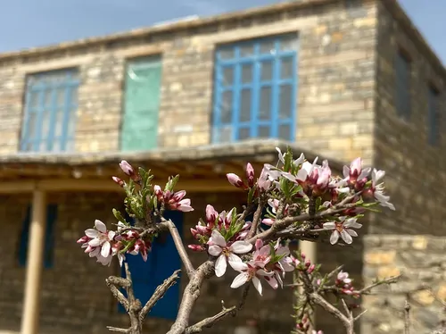 تصویر 2 - اقامتگاه بوم‌گردی شانشین (معماری اورامان) در مریوان