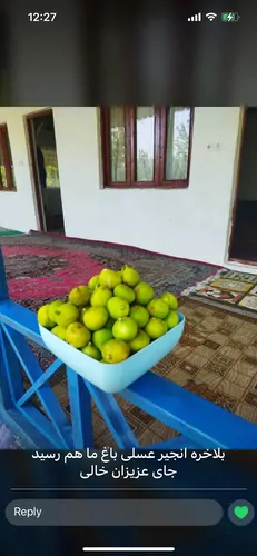تصویر 4 - ویلا خانه روستایی سنتی شاه کتام در کوچصفهان