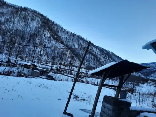 تصویر 19 - کلبه چوبی جنگلی آریالفور  در  شیرگاه