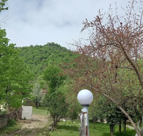 تصویر 13 - ویلا مبله شالیزار در  ماسال