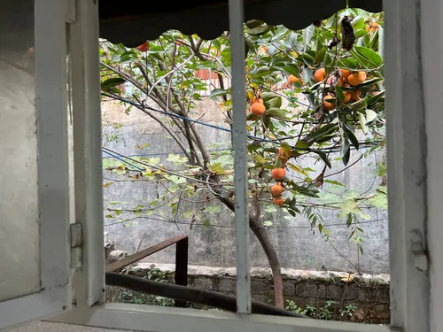 تصویر 14 - خانه ارشاد  در  رشت