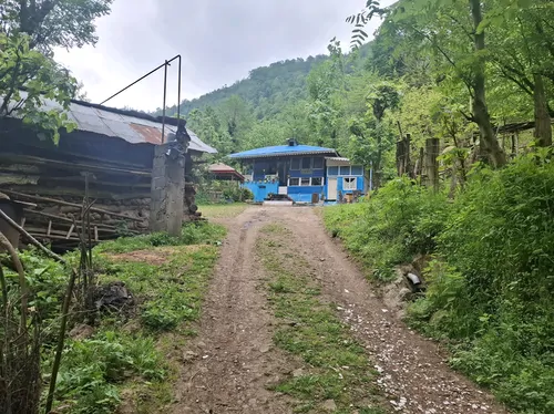 تصویر 29 - ویلا جنگلی بریا در ماسال