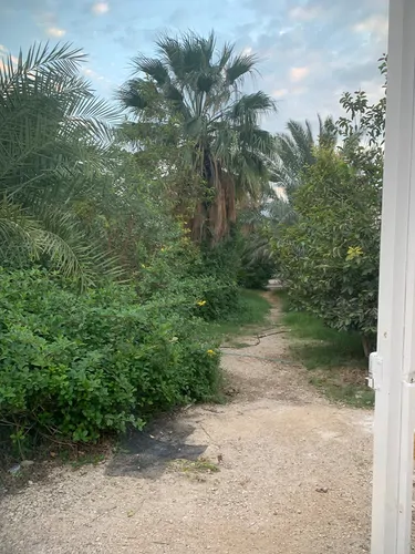 تصویر 8 - سوییت ویلایی باغی هومان (همکف) در  پارسیان