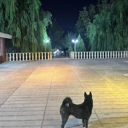 تصویر 5 - ویلا رها در  شهریار