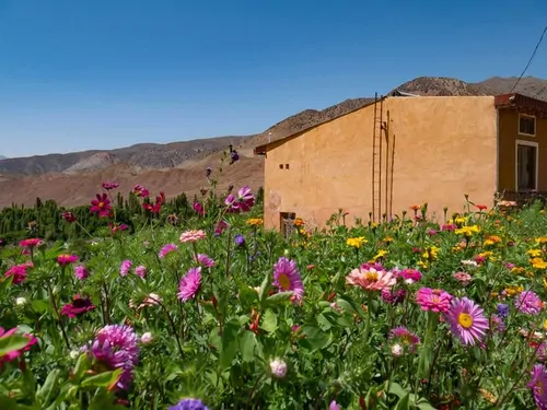 تصویر 12 - خانه روستایی روزیه مستر (اتاق تالیا) در  شهمیرزاد