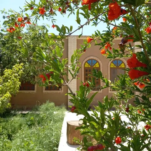 تصویر 8 - اقامتگاه بوم‌گردی باغچه شاه عباس باغ روستای کرند در  بشرویه
