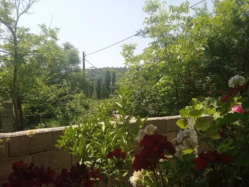 تصویر 16 - ویلا شکوفه بهار در ماسال