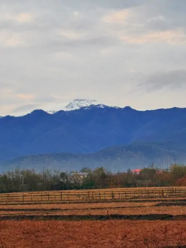 تصویر 10 - ویلا منظره شالیزار رستا در ماسال