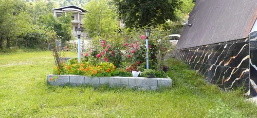تصویر 19 - ویلا سوئیسی پدری در ماسال