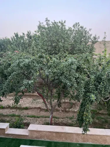 تصویر 3 - ویلا ویلا روستایی در سهیلیه