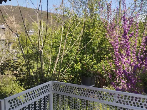 تصویر 9 - ویلا جنگلی  در  ماسال