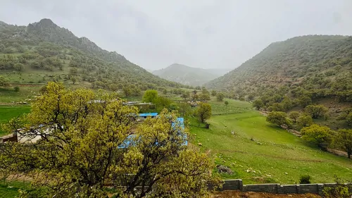 تصویر 5 - ویلا ویلا باغ در بام روستای توریستی جنگلی قلات یاسوج  در  یاسوج