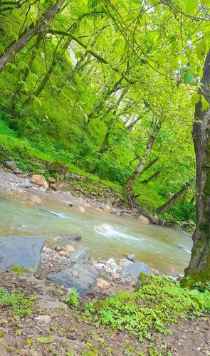 تصویر 2 - ویلا 👋🦔برای خانواده تان در ویلا ما خاطره ای  به‌ یاد ماندنی بسازید 🙏🙏🙏           در ماسوله 