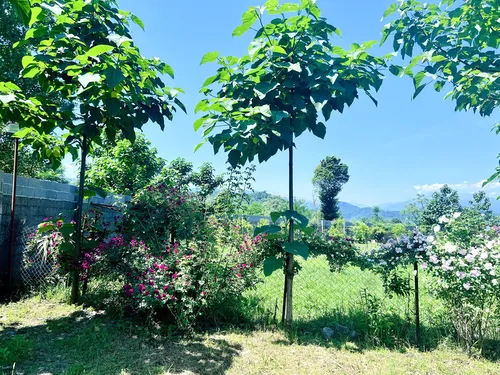 تصویر 14 - ویلا مرجان (یک) در  فومن