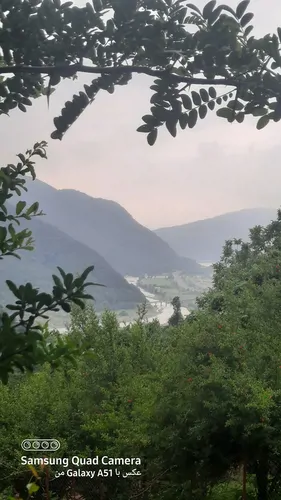 تصویر 5 - کلبه ویلا جنگلی در سکوت و آرامش به دور از ماشین ها و سرصدای خیابان در رشت