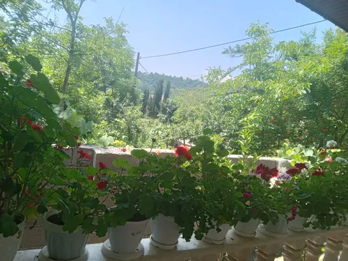 تصویر 15 - ویلا شکوفه بهار در ماسال