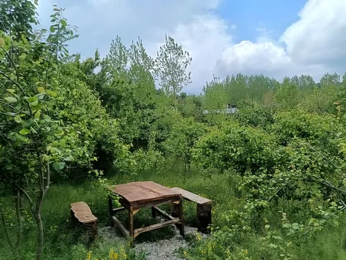 تصویر 13 - کلبه سوئیسی تینار در  بابل