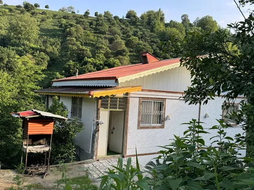 تصویر 2 - ویلا سکوت سبز  در  املش