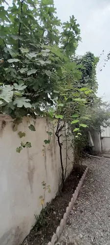 تصویر 2 - ویلا خانه ویلایی در سنگر
