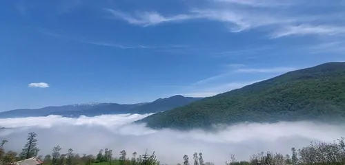 تصویر 21 - ویلا افراتخته در علی آباد کتول