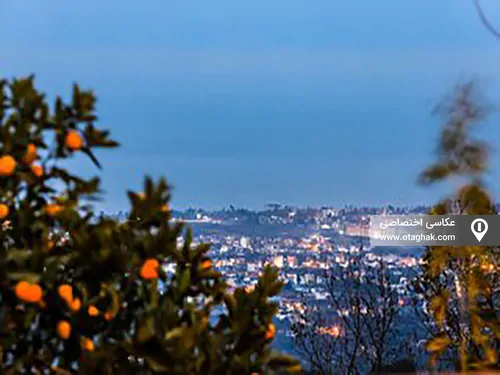 تصویر 37 - ویلا لوکس جنگلی شقایق اربه کله با استخر آبگرم و بیلیارد در  رامسر