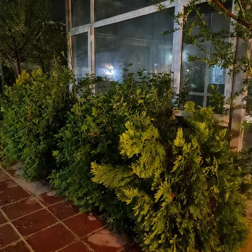 تصویر 5 - ویلا باغ صفا در  کرج