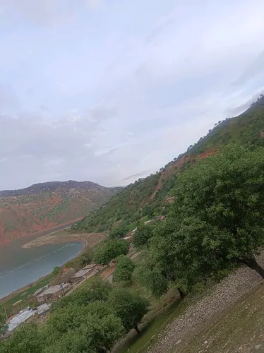تصویر 11 - خانه ویلایی جنگلی قاسمی در ایذه