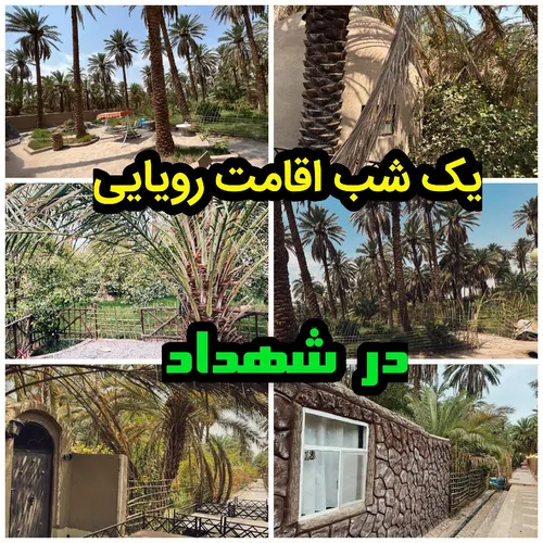 تصویر 2 - اقامتگاه بوم‌گردی مجموعه‌حرفه‌ای‌شهداد در شهداد