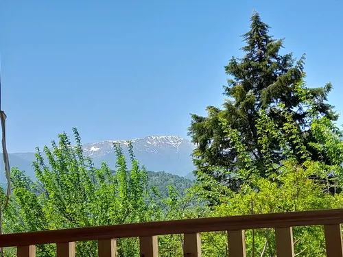 تصویر 13 - ویلا شمال سرسبز در سوادکوه