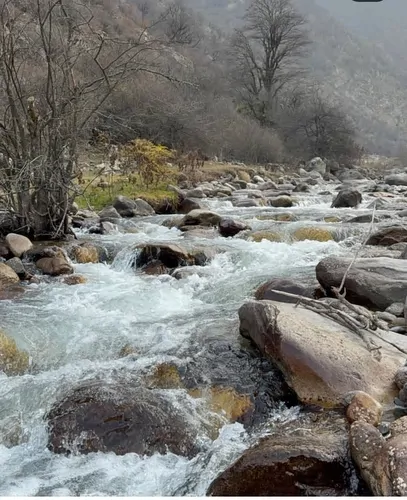 تصویر 4 - ویلا اقامتگاه باران در سنگر