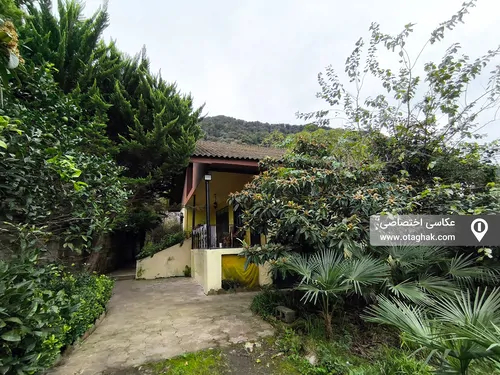 تصویر 14 - ویلا جنگلی تمشک در رامسر