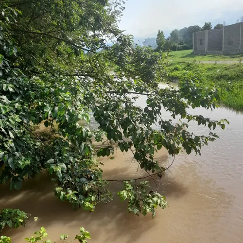 تصویر 5 - ویلا ویلاباغ تمیز نزدیگ پلیس راه رشت  در  رشت