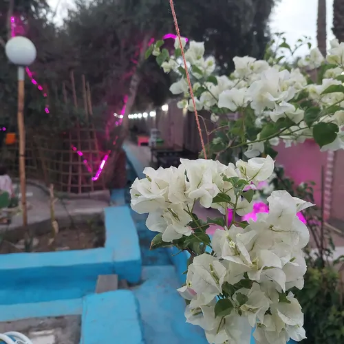 تصویر 3 - اقامتگاه بوم‌گردی باغ بوم گردی حرفه ای شهداد در شهداد