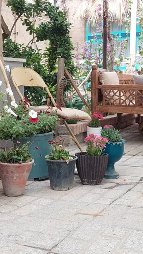 تصویر 15 - خانه ایکوت (بوم شمالی) در  مشهد