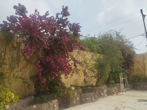 تصویر 9 - ویلا کوی آشنا در دزفول