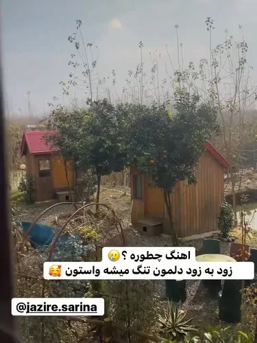 تصویر 2 - کلبه جزیره سارینا  در انزلی