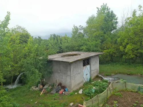 تصویر 5 - کلبه سوئیسی نوبهار در ماسال