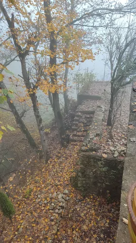 تصویر 5 - کلبه سکوت جنگل در کلاردشت