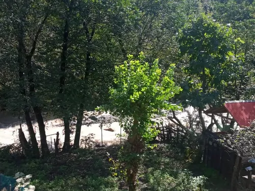 تصویر 4 - خانه مسعود در ماسال