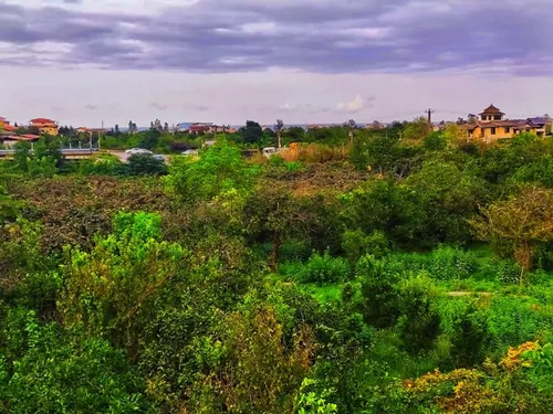 تصویر 11 - ویلا استخردار آبگرم ستاره شمال در کتالم