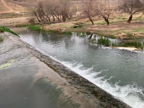 تصویر 12 - ویلا باغ لردگان در  لردگان