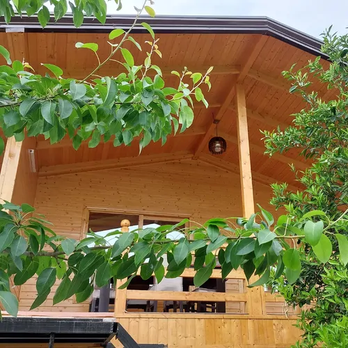 تصویر ۱ - کلبه چوبی لفور بام قلک (1) در  سوادکوه